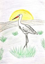 Rejdovjanová Júlia.jpg